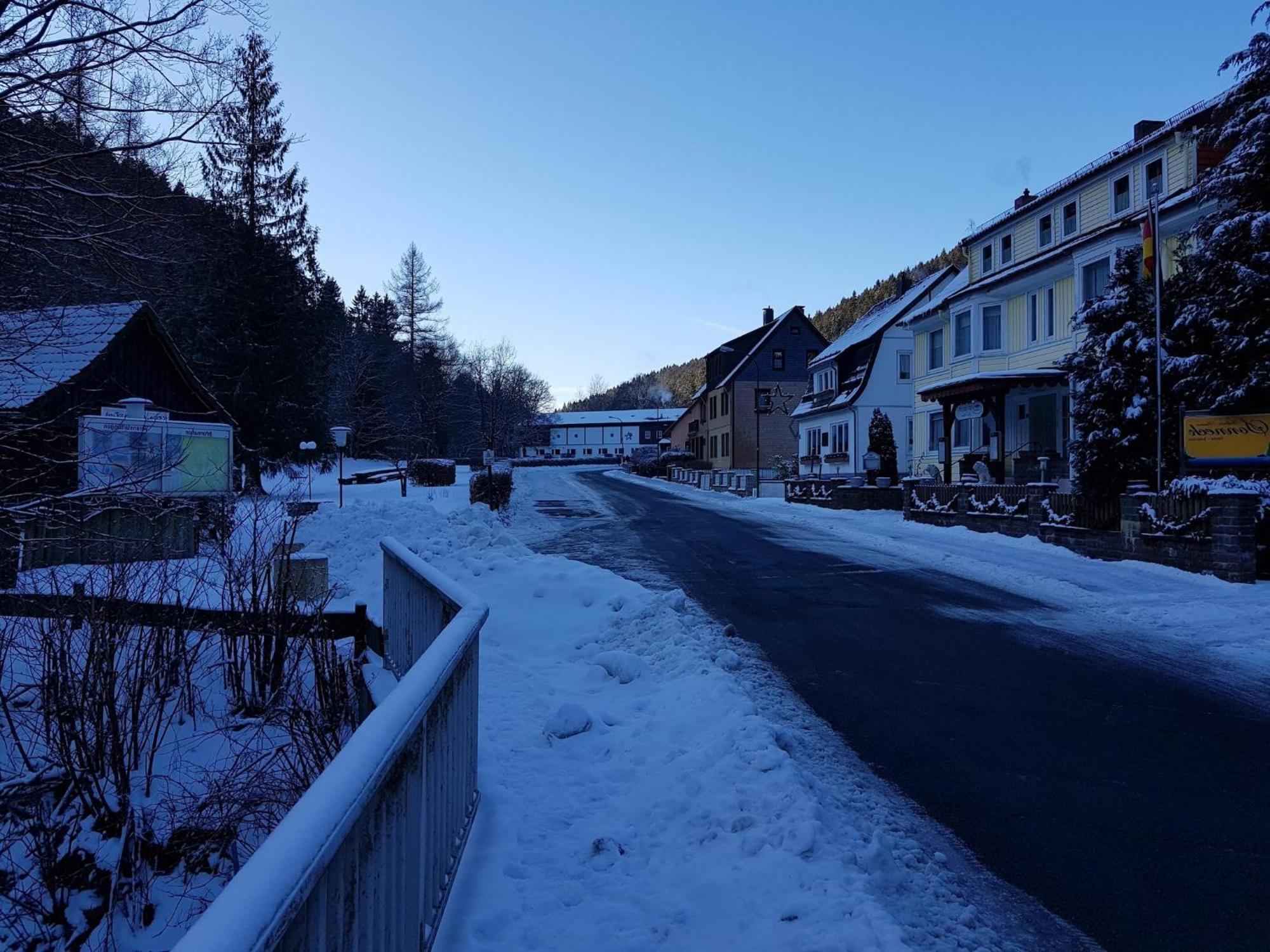 Adorable Aparment In Wildemann With Parking Apartment Luaran gambar