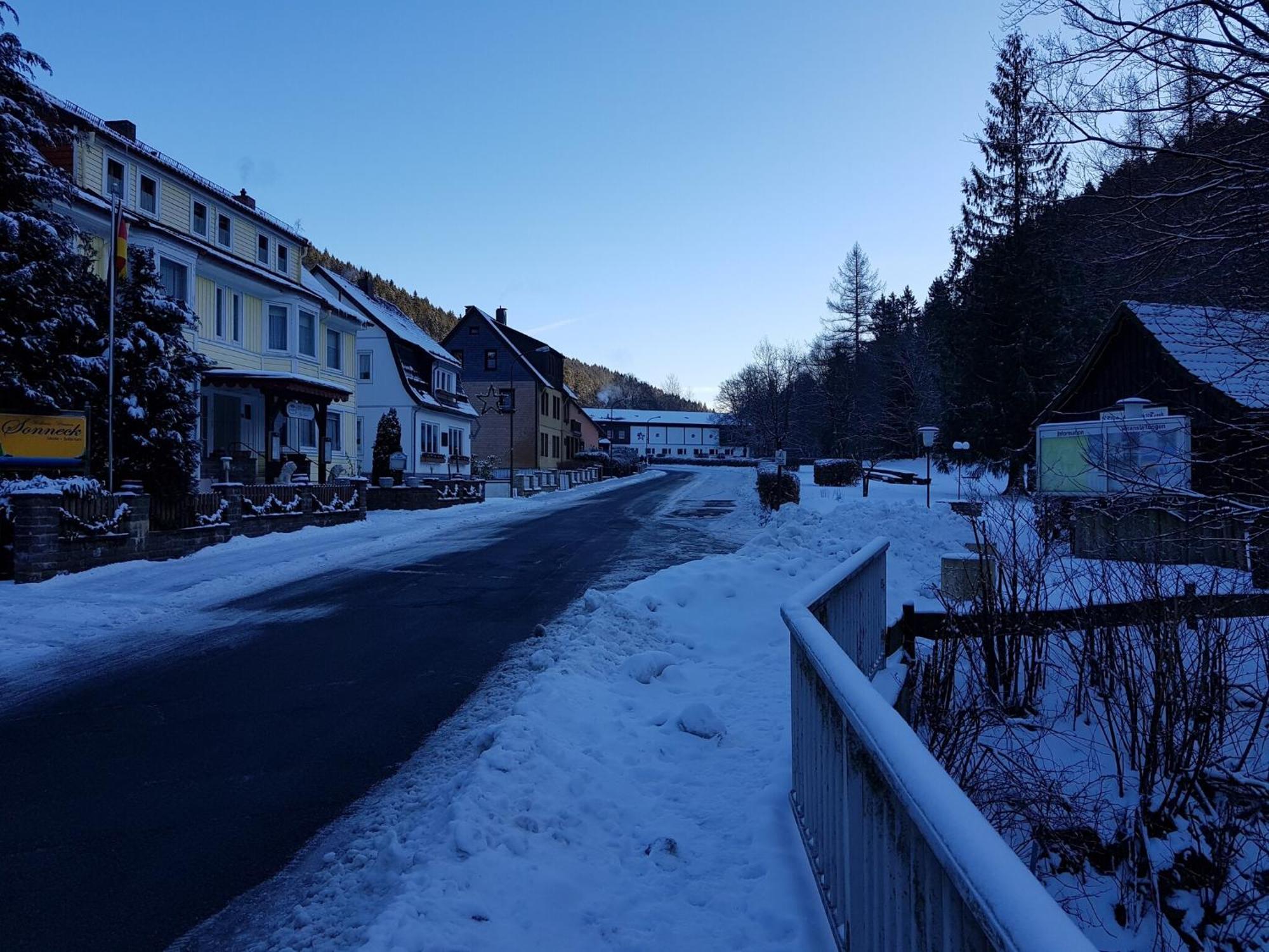 Adorable Aparment In Wildemann With Parking Apartment Luaran gambar
